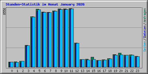 Stunden-Statistik im Monat January 2026